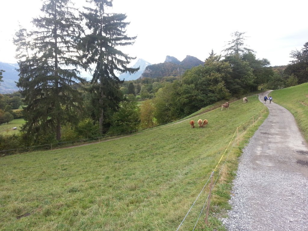 20121016_174415.jpg