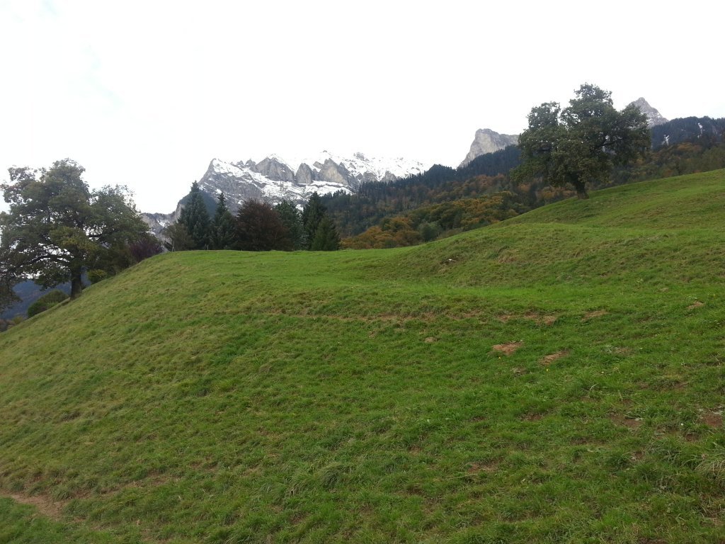 20121016_174420.jpg
