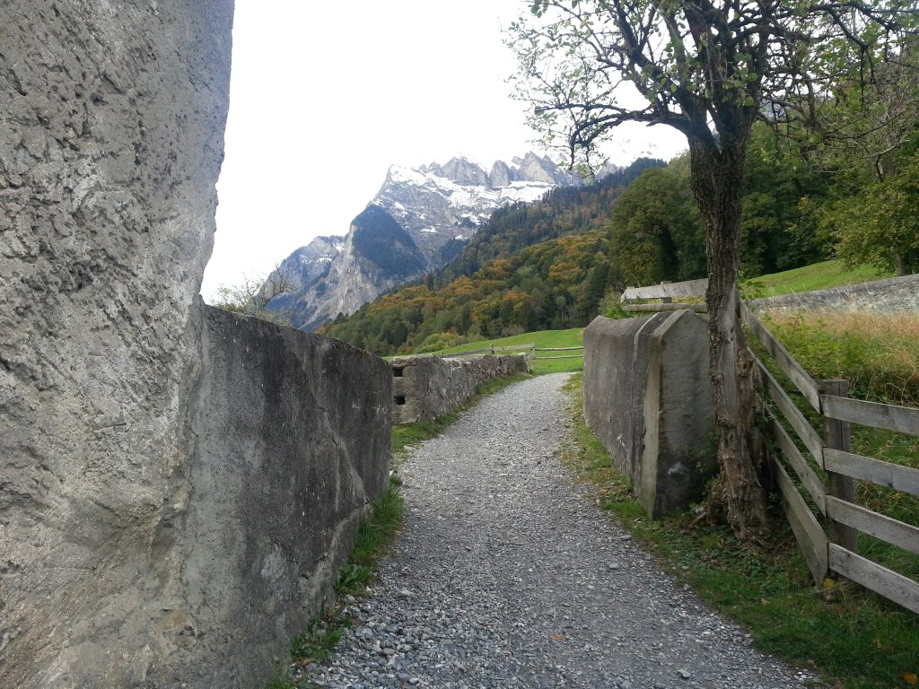 20121016_174825.jpg