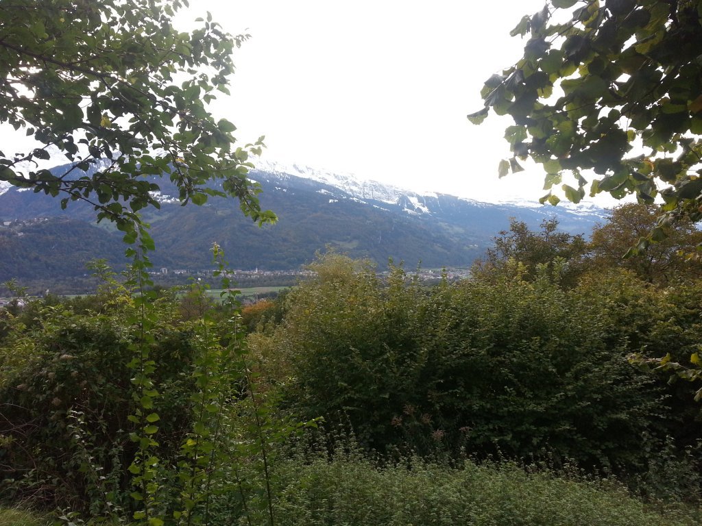 20121016_175244.jpg