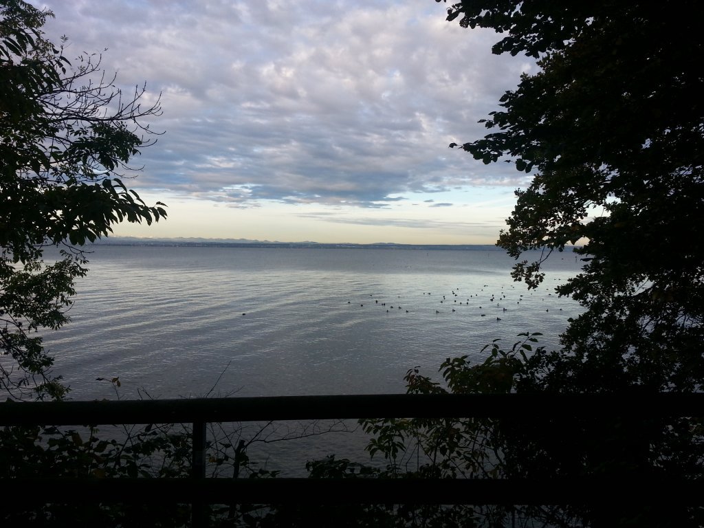 20121017_082712.jpg