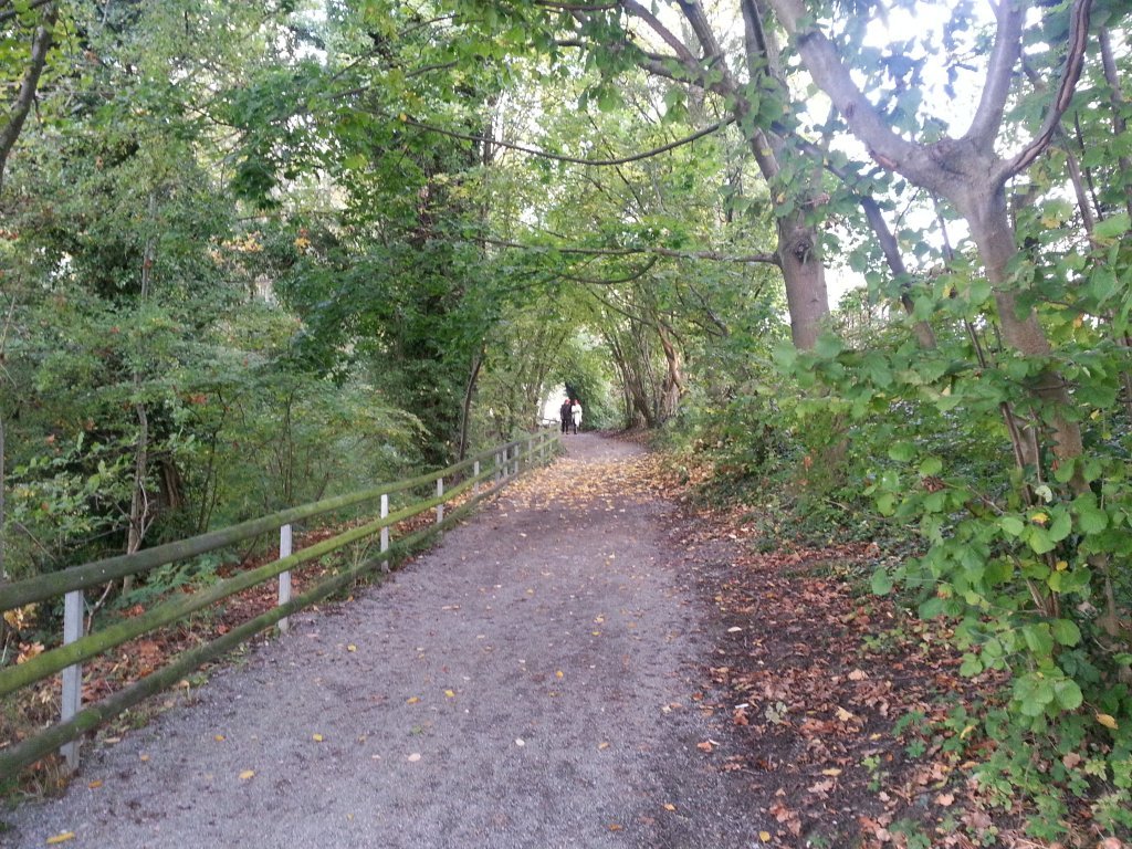 20121017_082747.jpg