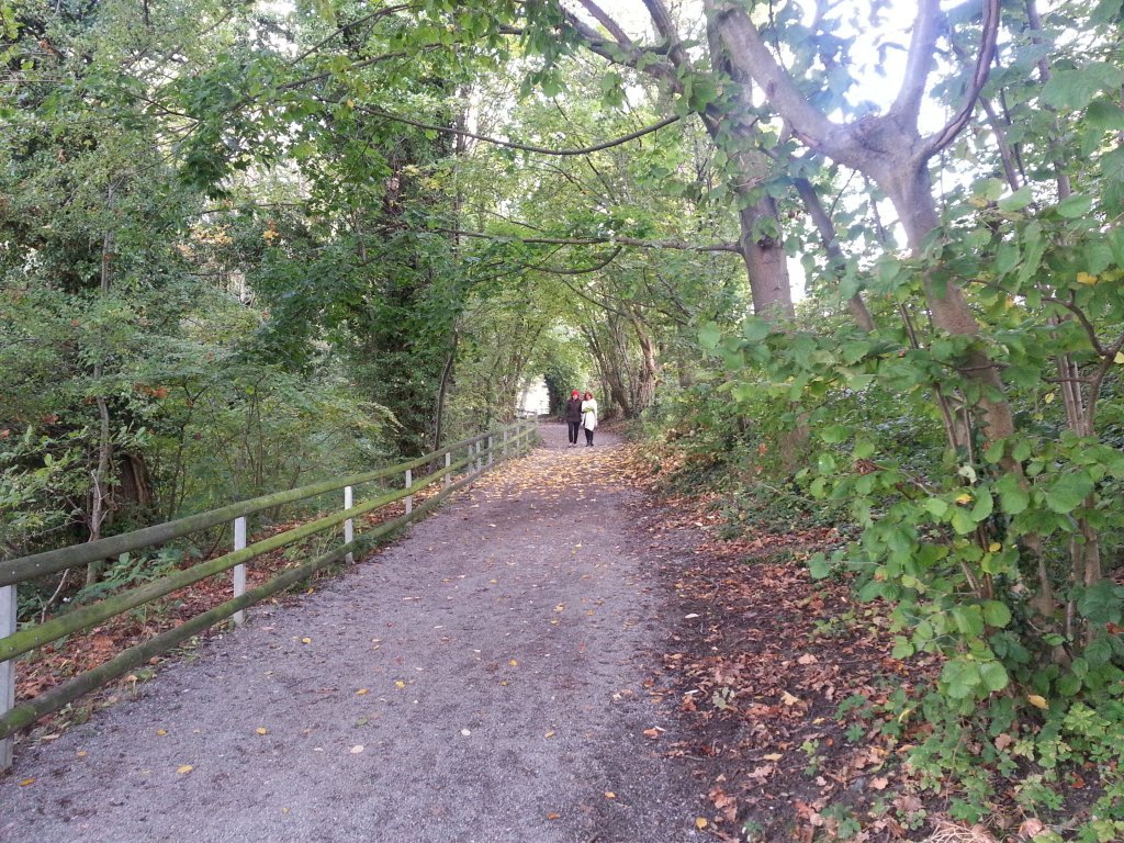 20121017_082801.jpg