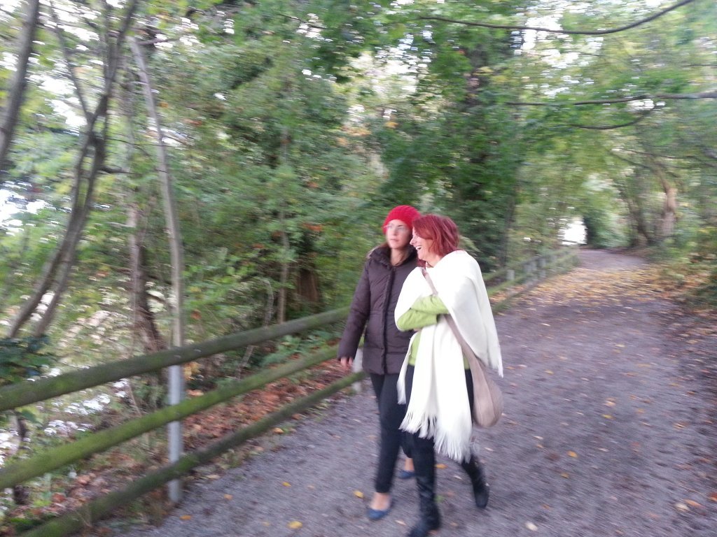 20121017_082822.jpg