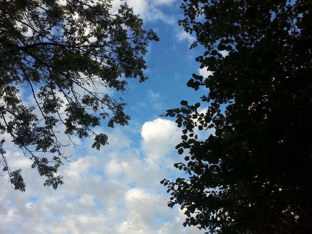 20121017_082840.jpg