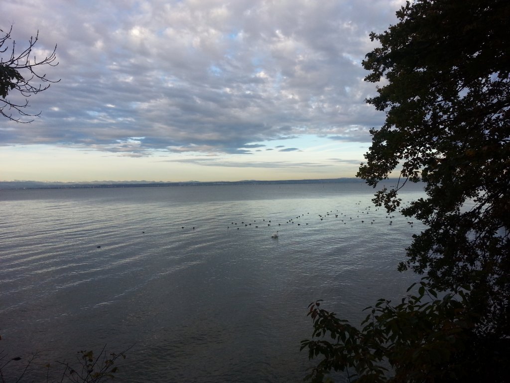 20121017_082854.jpg