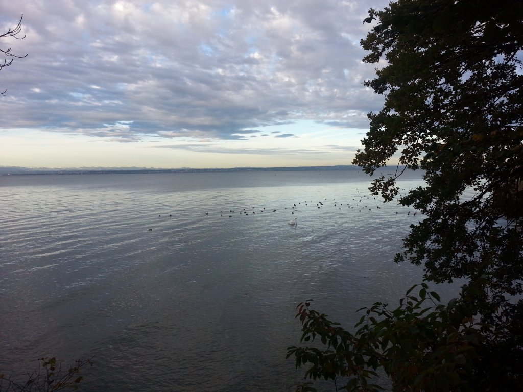 20121017_082905.jpg
