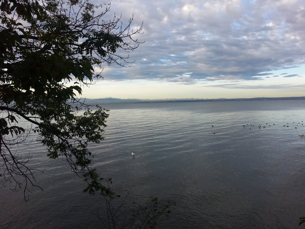 20121017_082910.jpg