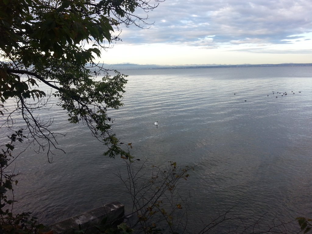 20121017_082913.jpg