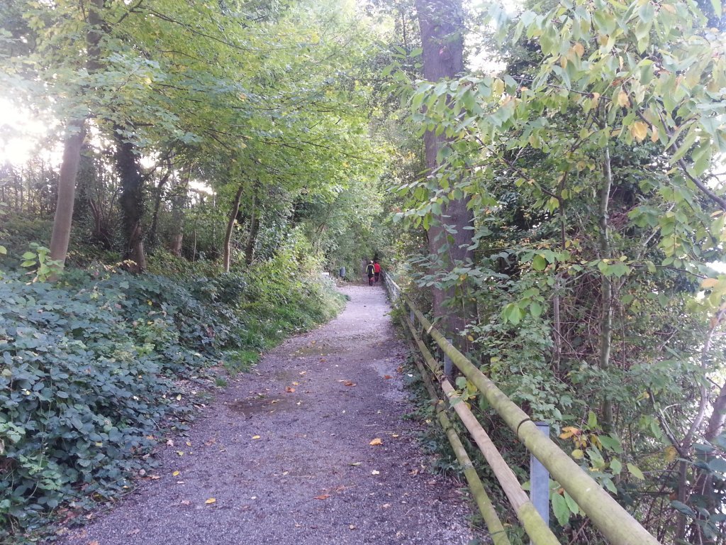 20121017_082941.jpg