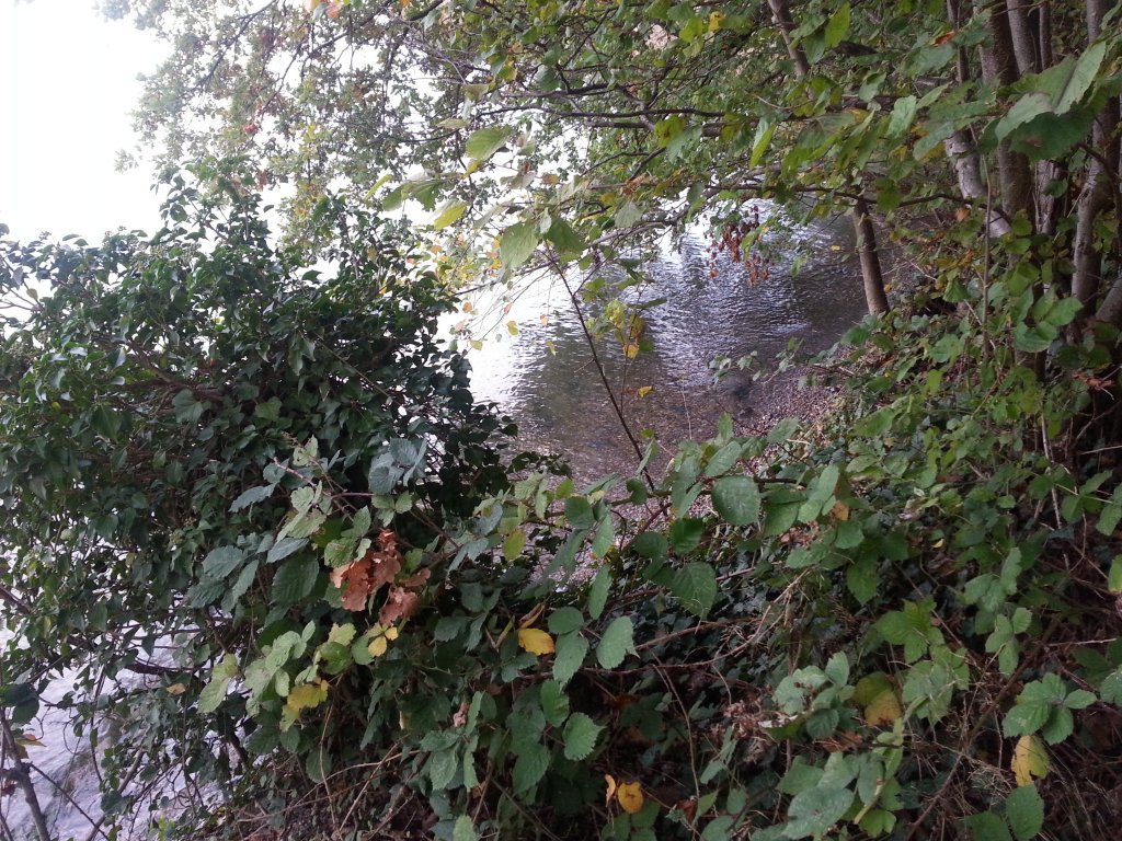 20121017_083010.jpg