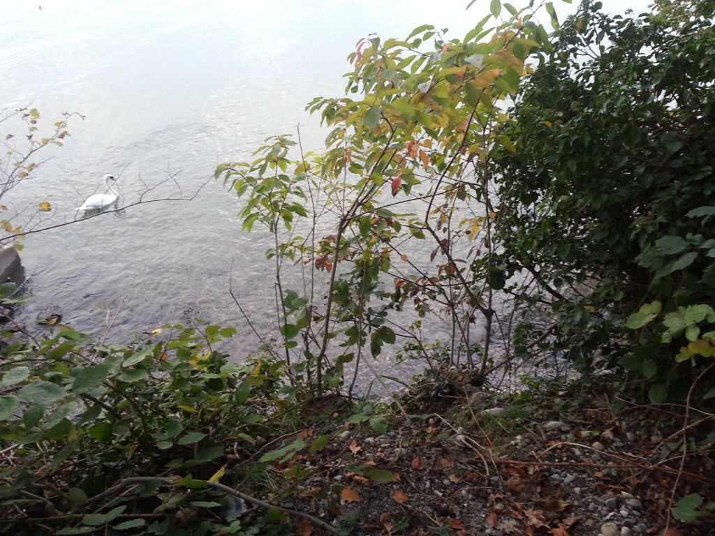 20121017_083013.jpg
