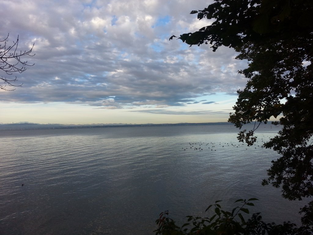 20121017_083016.jpg
