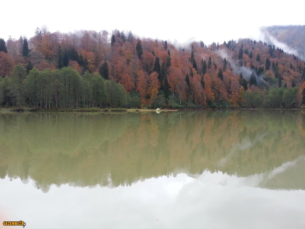 20121024_075710.jpg