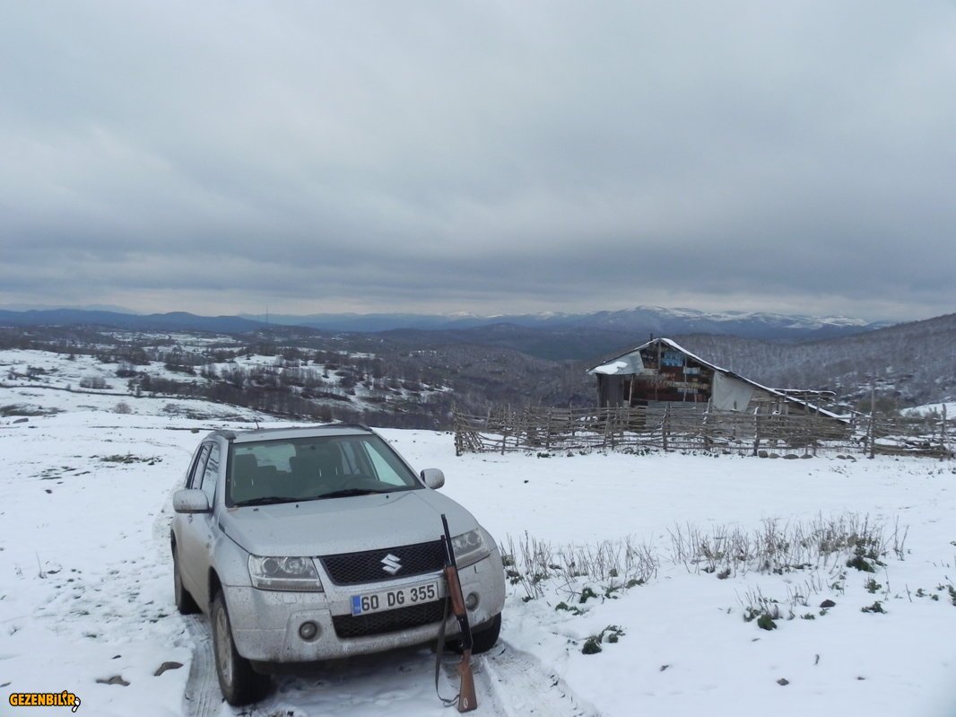 20121117_135316.jpg