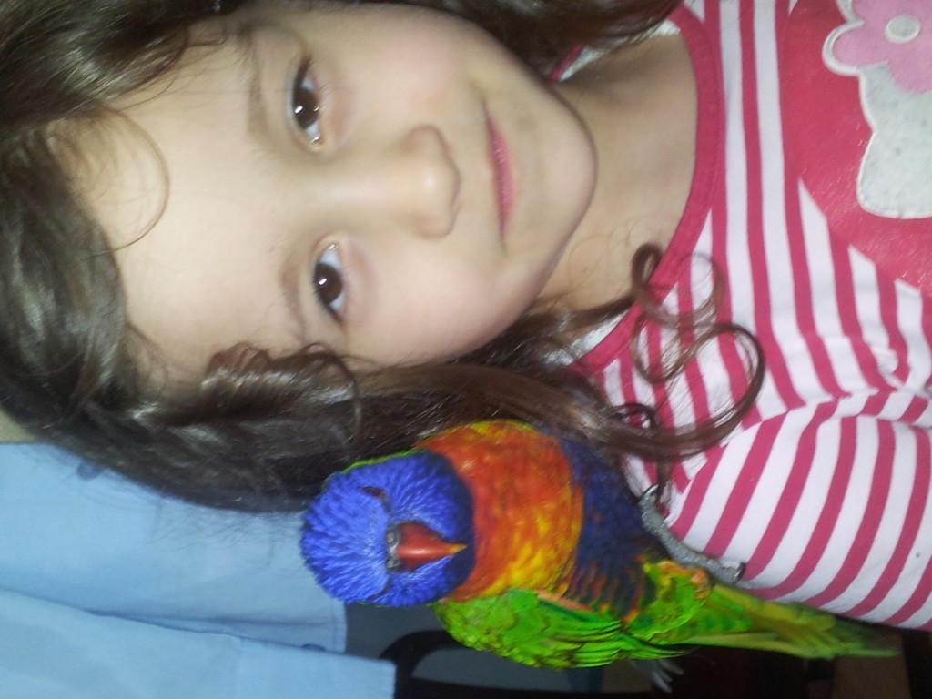 2013-01-15 23.03.56.jpg