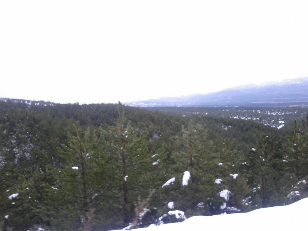 2013-02-09 16.21.43.jpg