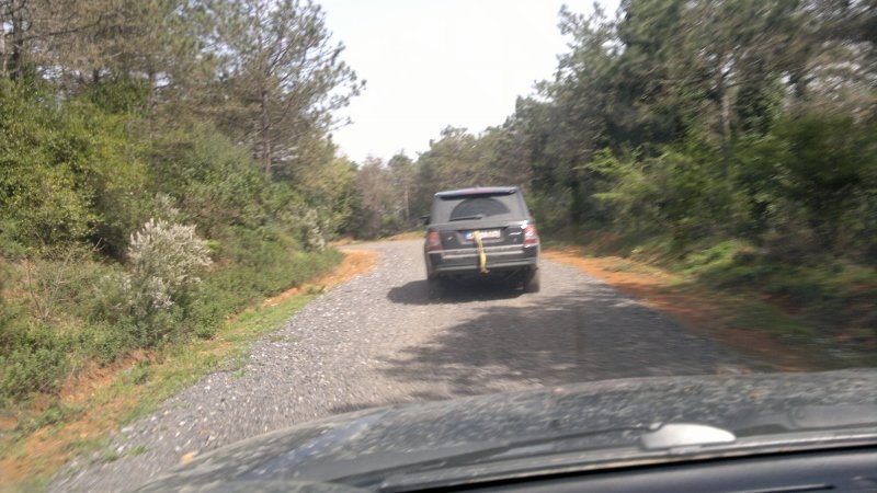 2013-04-06-637 (800x450) (800x450).jpg