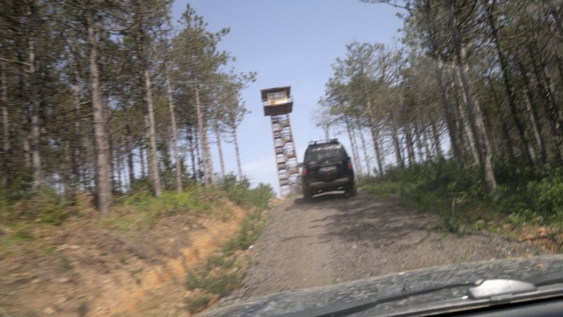 2013-04-06-640 (800x450) (800x450).jpg