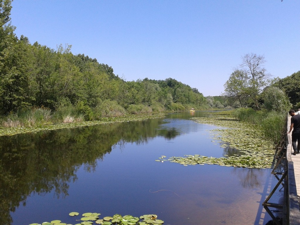 2013-06-23 13.44.31.jpg