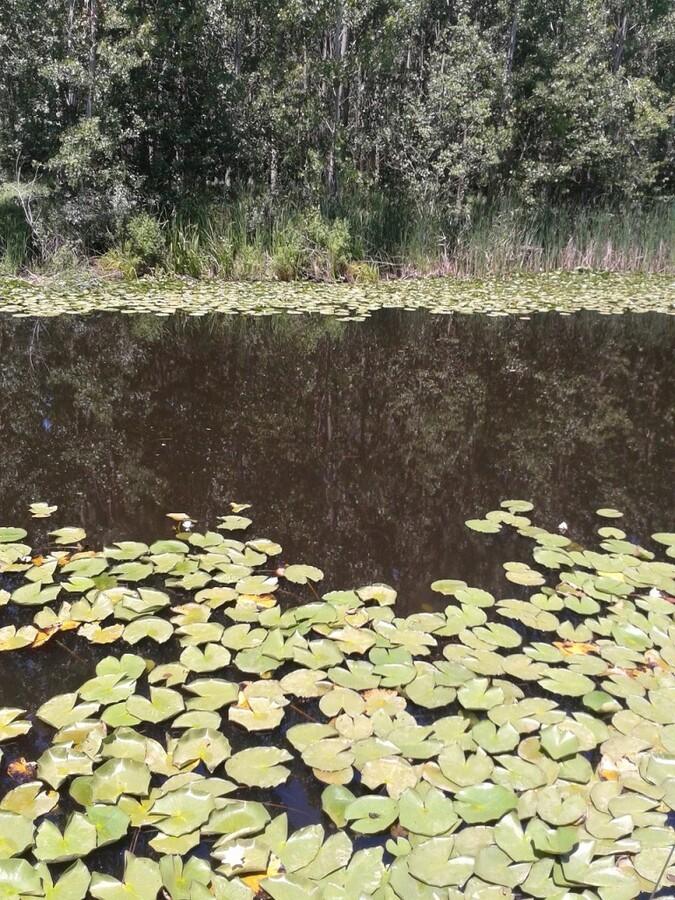 2013-06-23 13.44.38.jpg