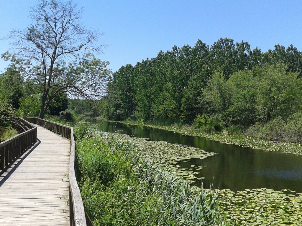 2013-06-23 13.46.51.jpg