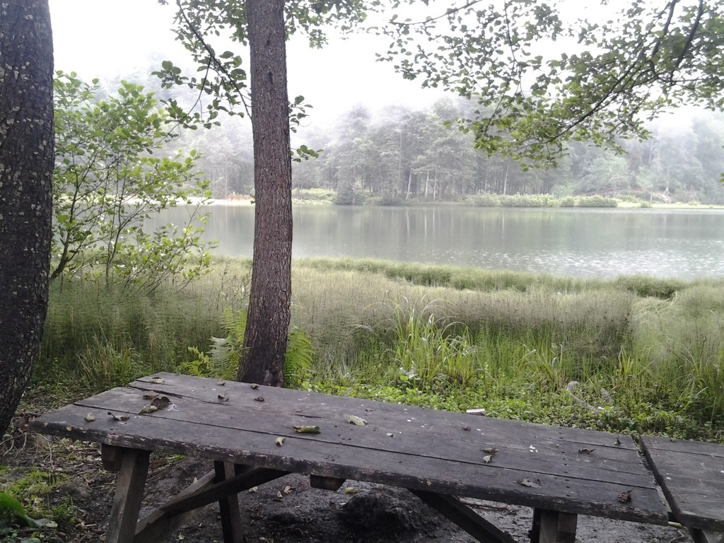 20130816_113625.jpg