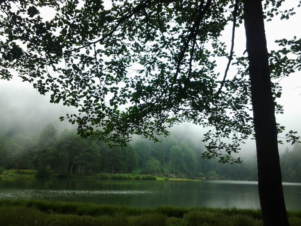 20130816_114158.jpg