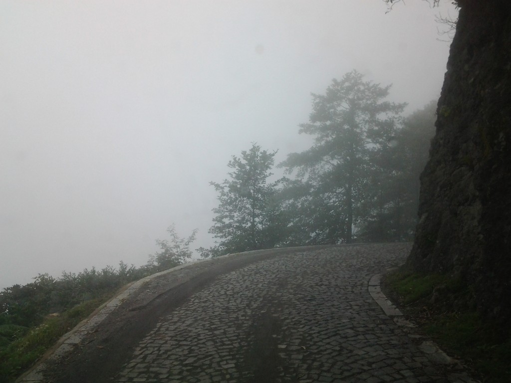 20130816_132150.jpg