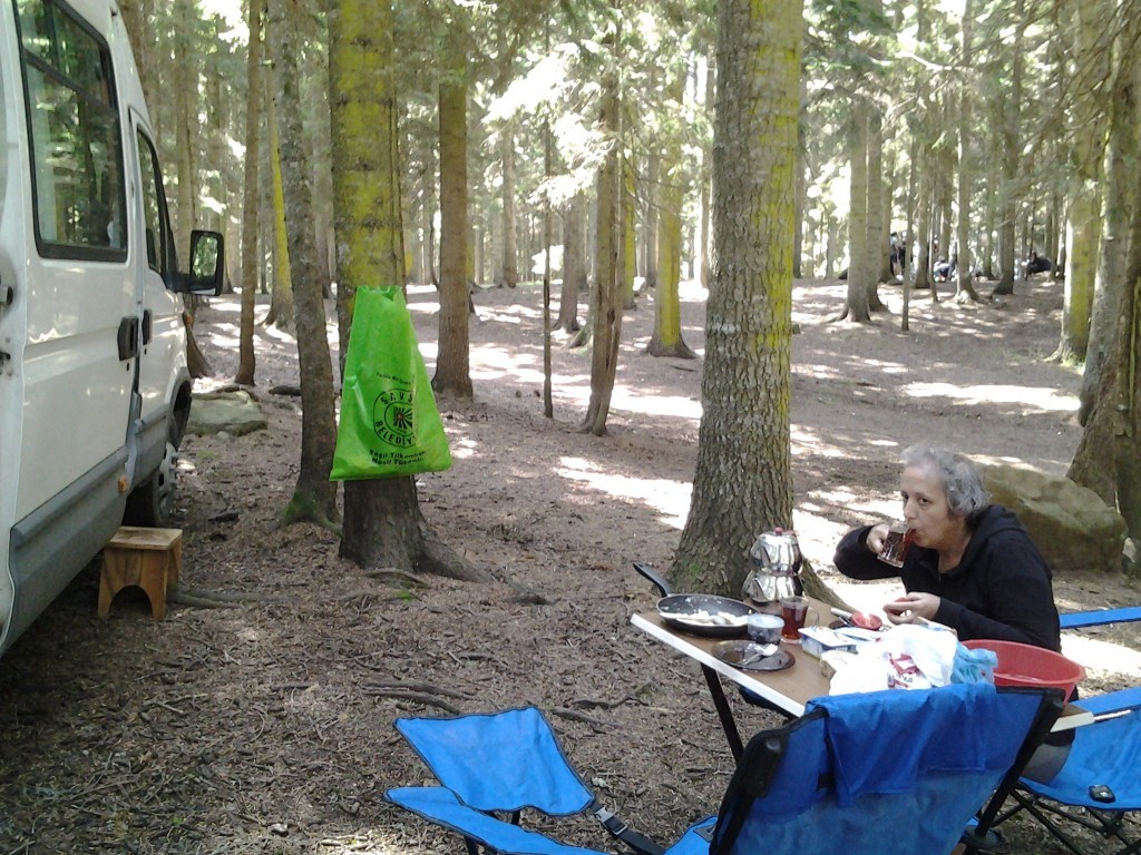20130817_113158.jpg