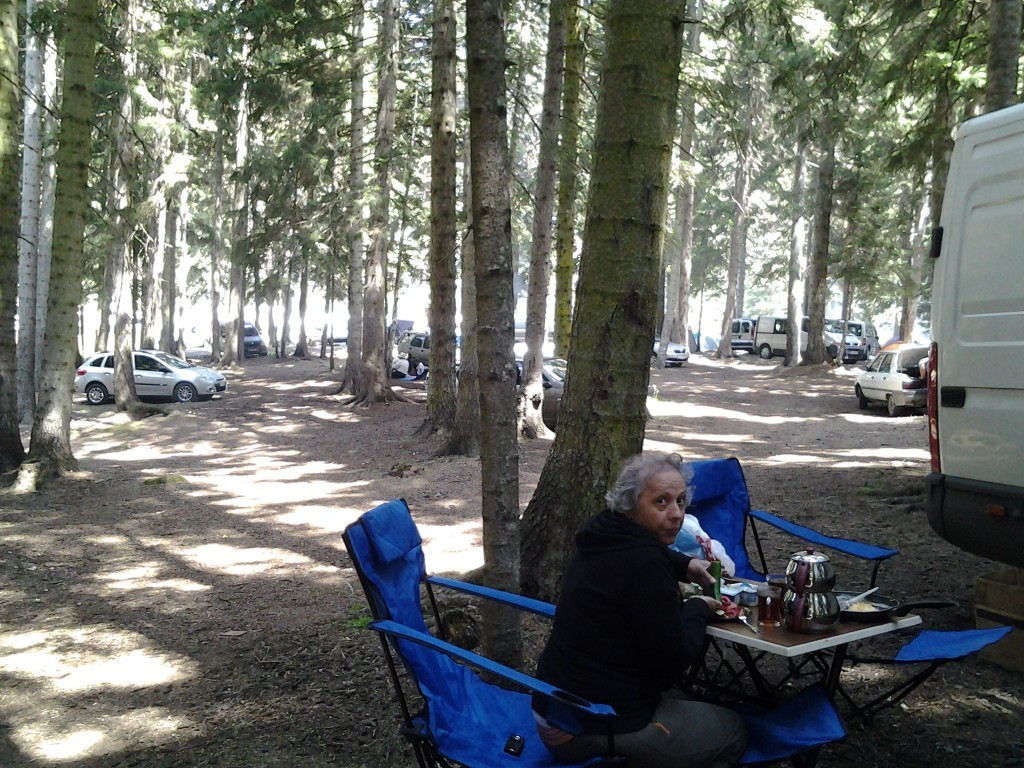 20130817_113315.jpg