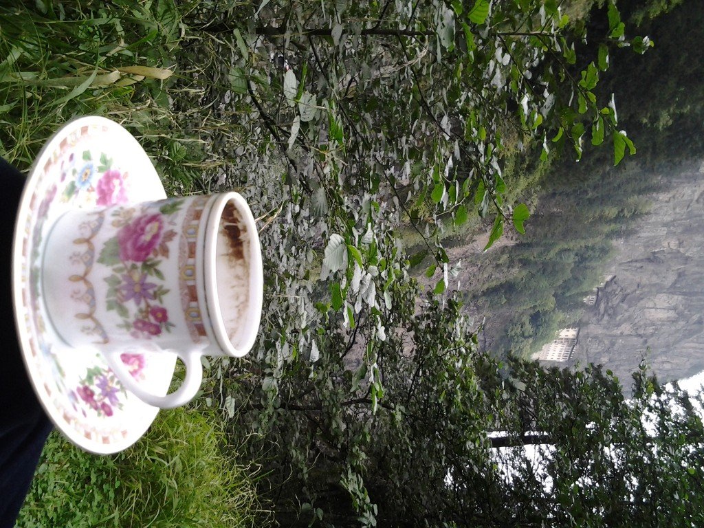 20130826_160517.jpg