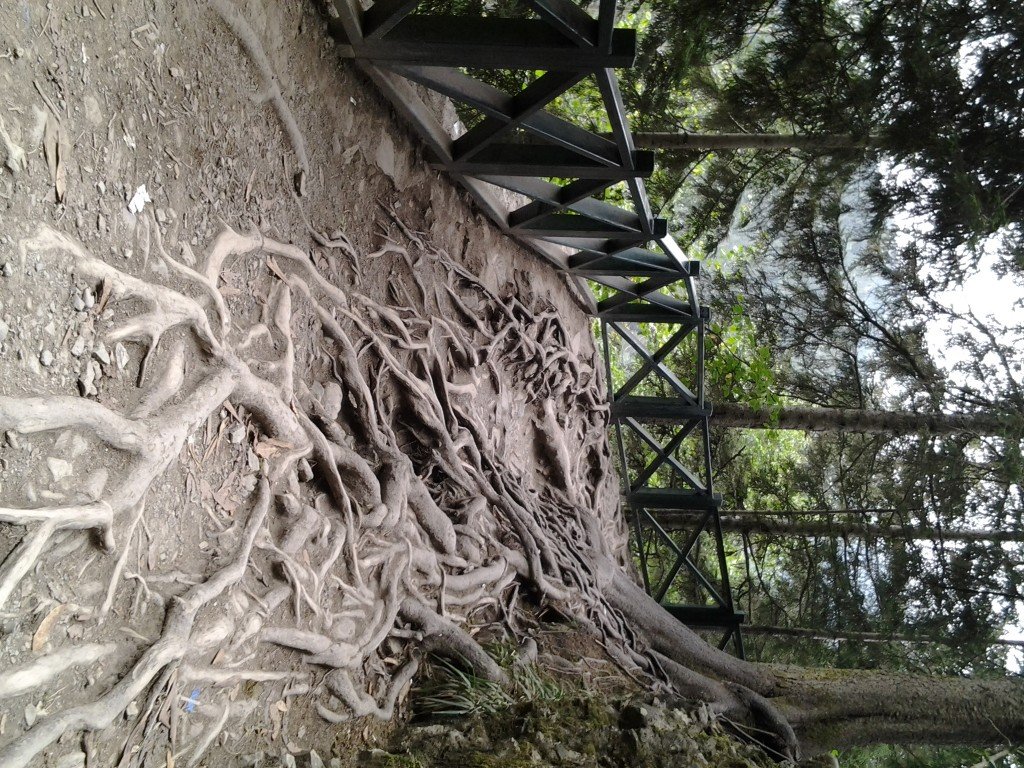20130827_120900.jpg