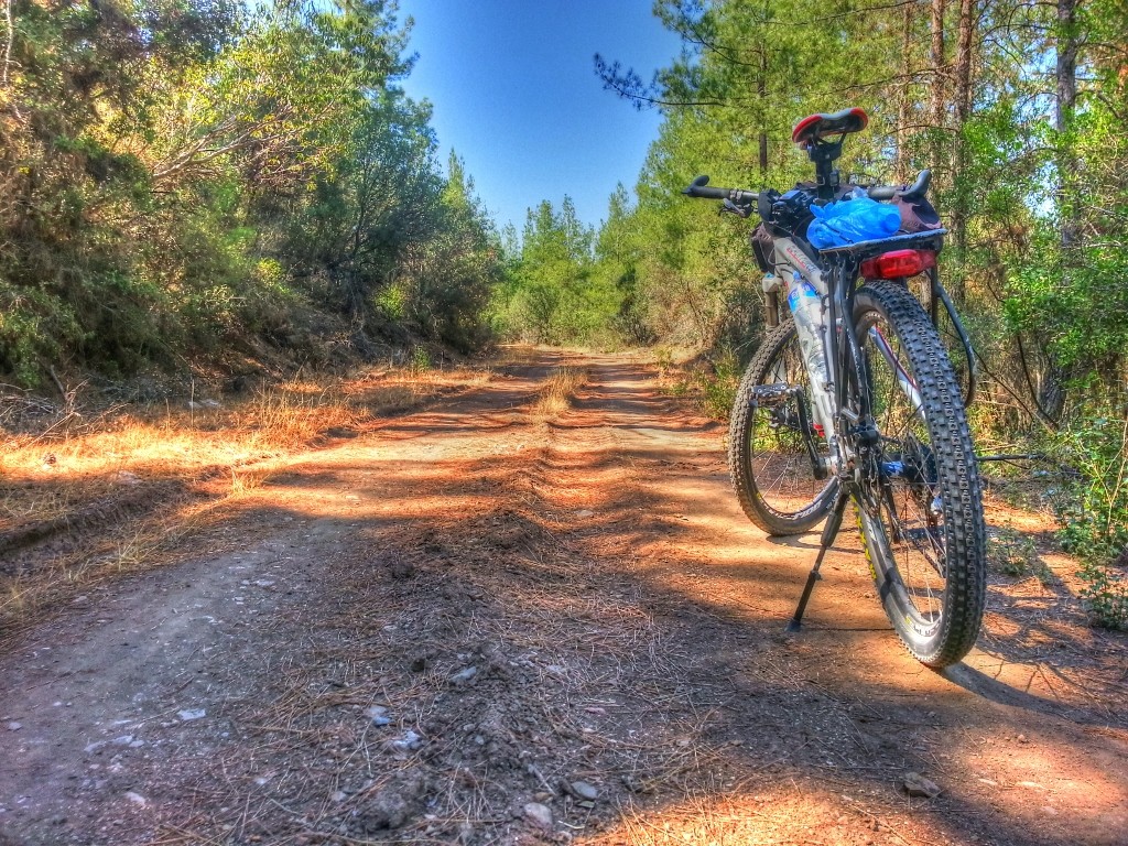 20130908_110443_HDR_tonemapped (1024x768).jpg