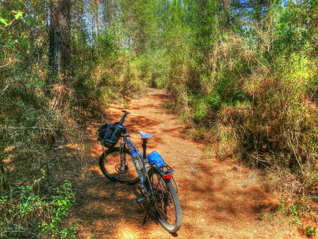 20130908_120529_HDR_tonemapped (1024x768).jpg