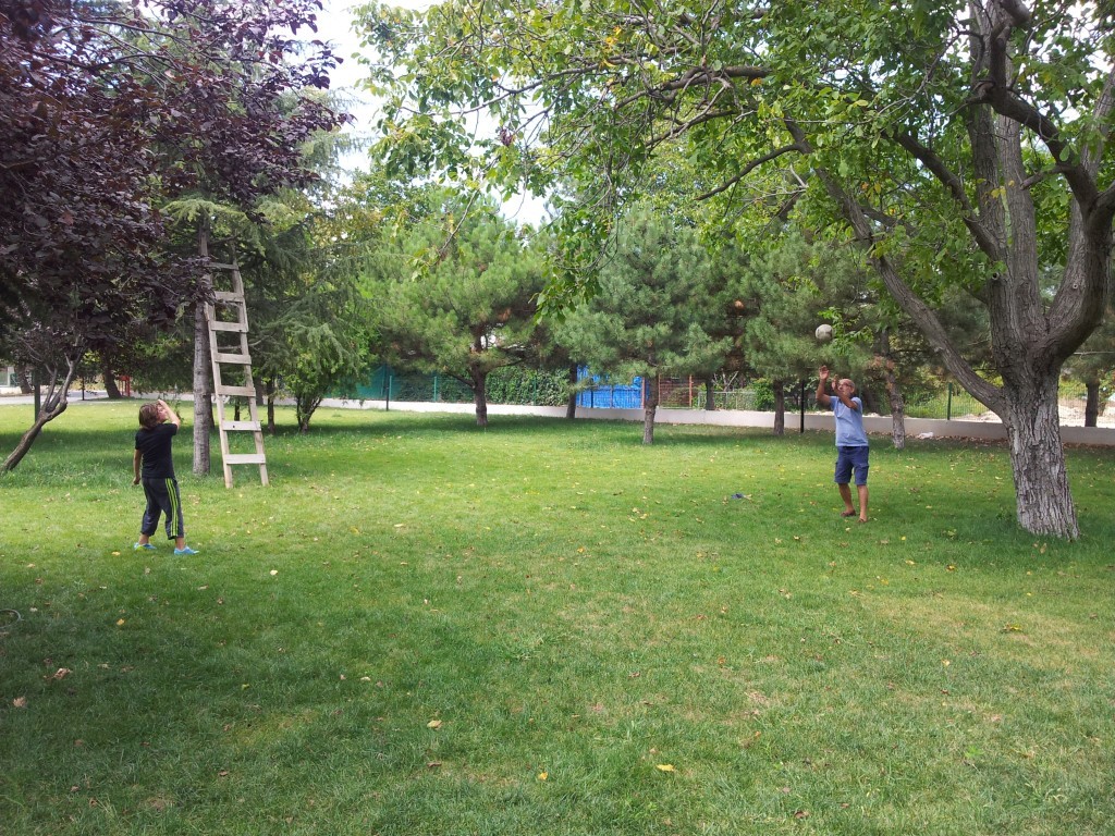 20130908_124055.jpg