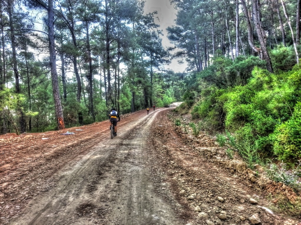 20130915_093032_HDR_tonemapped (1024x768).jpg