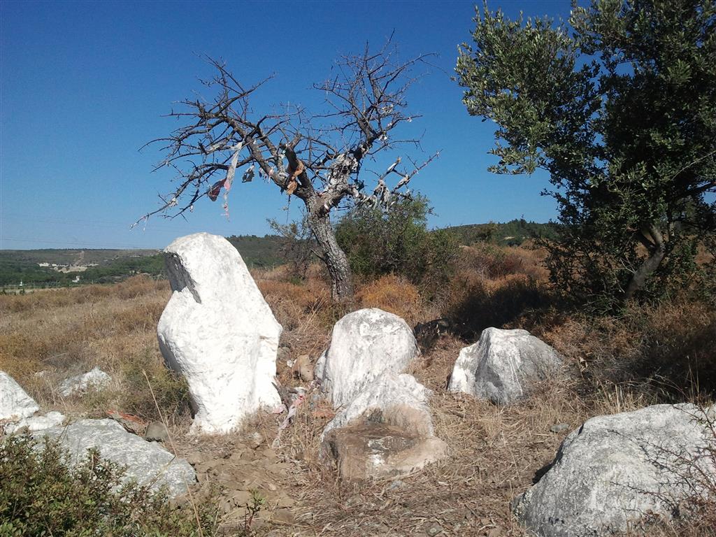 20130915_102138.jpg