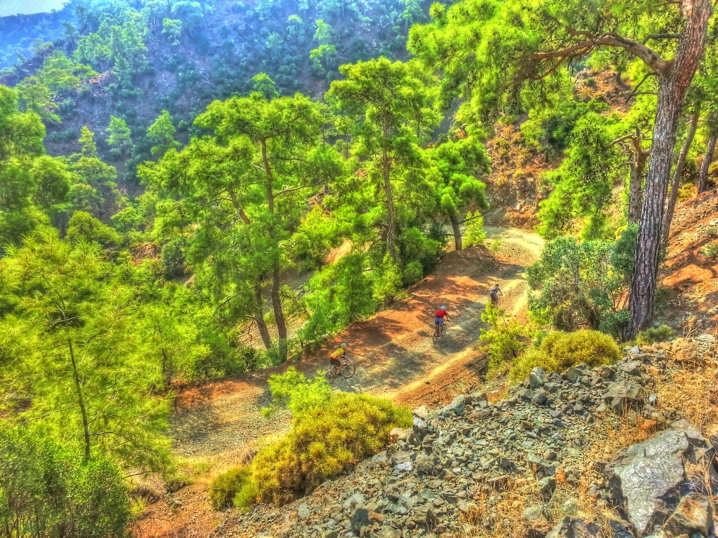 20130915_104350_HDR_tonemapped (1024x768).jpg