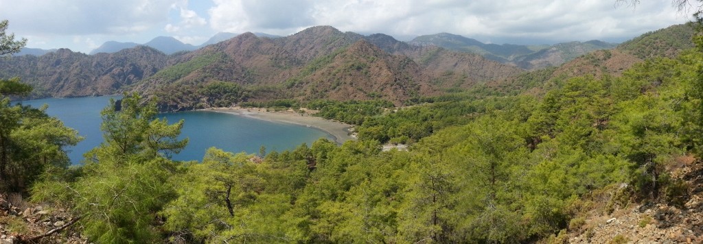 20130915_123652 (1024x356).jpg