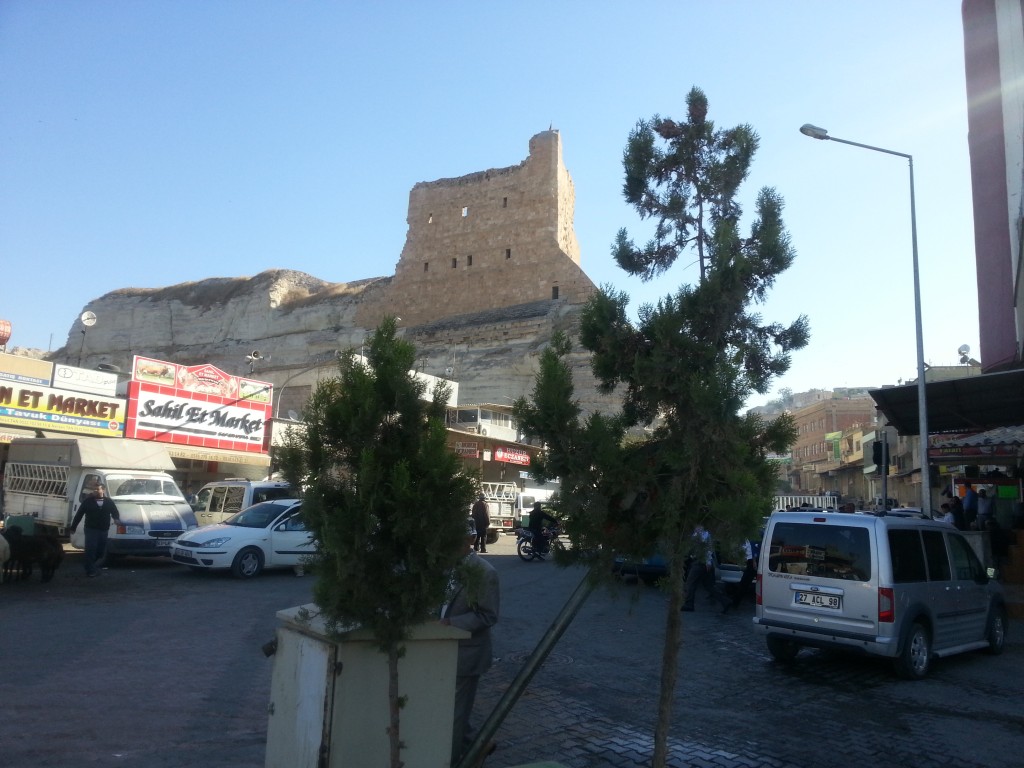 20131015_093058.jpg