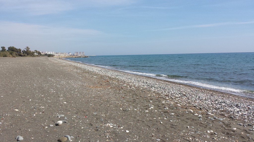 20131017_123107.jpg