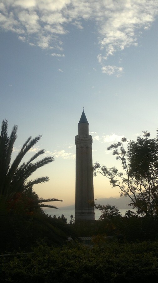 2014-11-10-1169.jpg