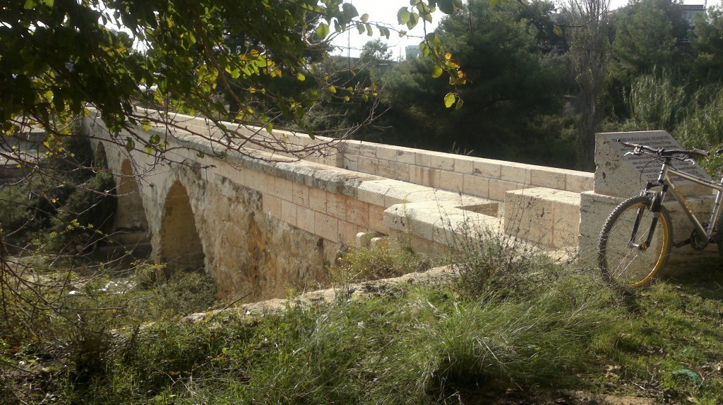 2014-11-11-1182.jpg