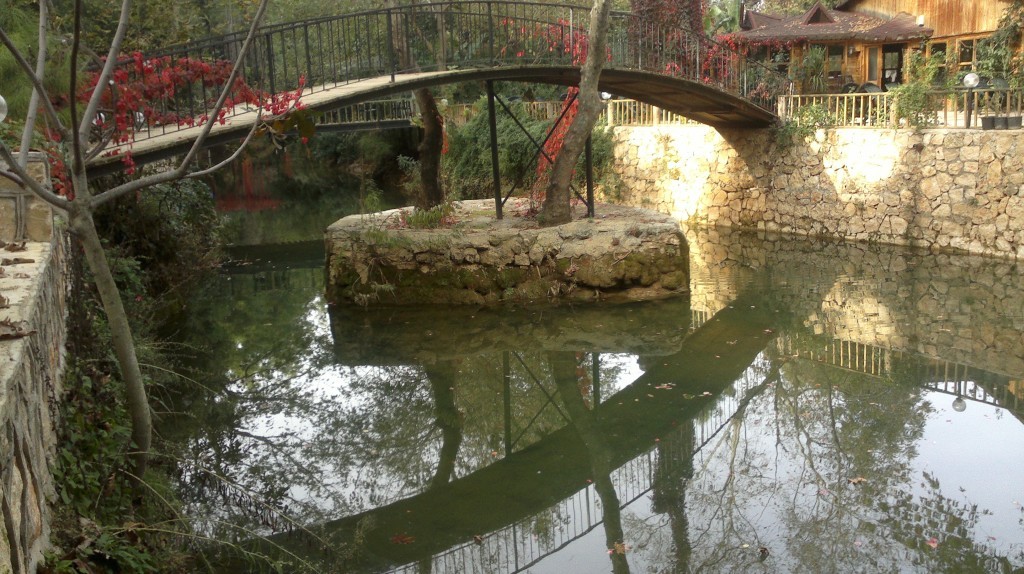 2014-11-11-1193.jpg