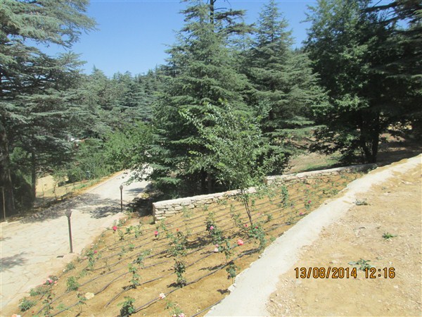 2014 A?USTOS GEZ?S? KIZILDA? M?LL? PARKI 1 (600 x 450).jpg