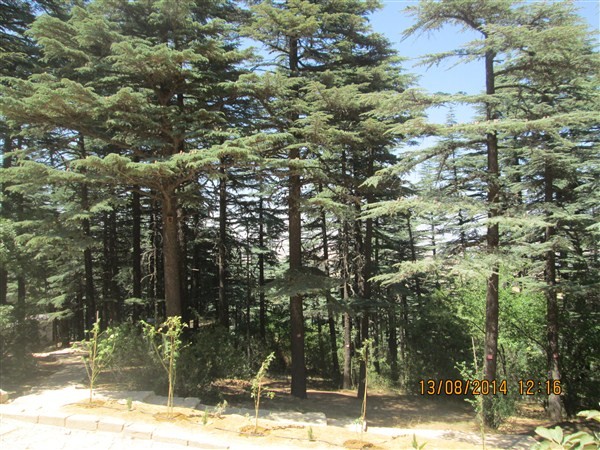 2014 A?USTOS GEZ?S? KIZILDA? M?LL? PARKI 3 (600 x 450).jpg