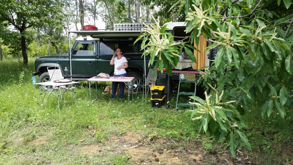20140621_122023.jpg