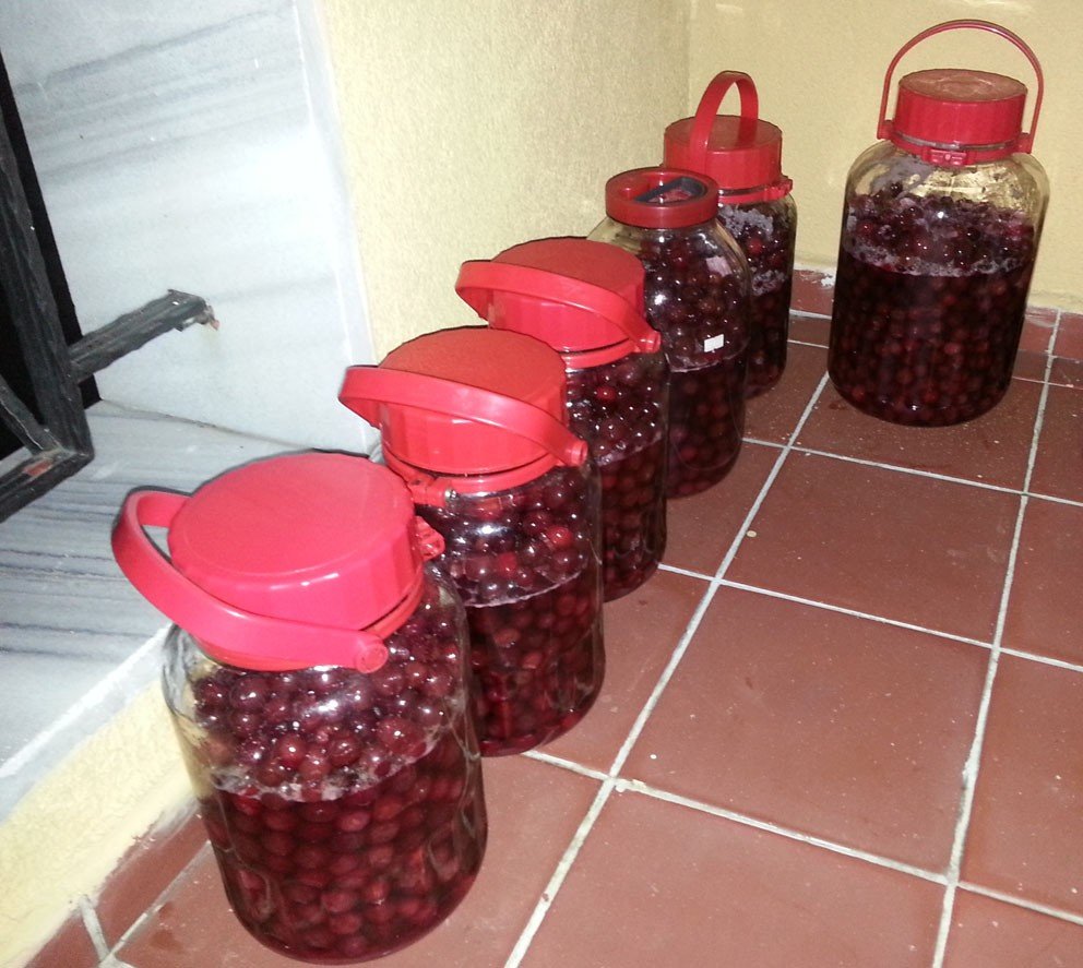 20140720_210115.jpg