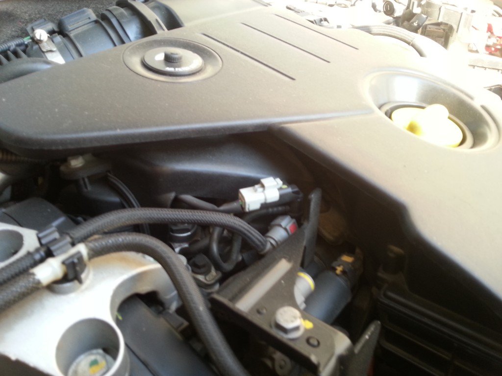 20140727_181755.jpg